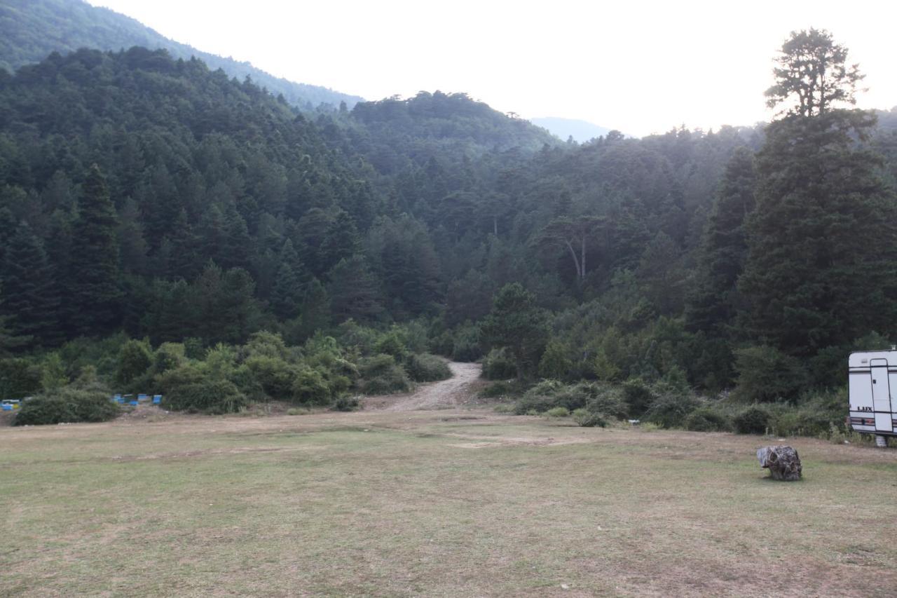 Dukat Hamiti Camping Center מראה חיצוני תמונה