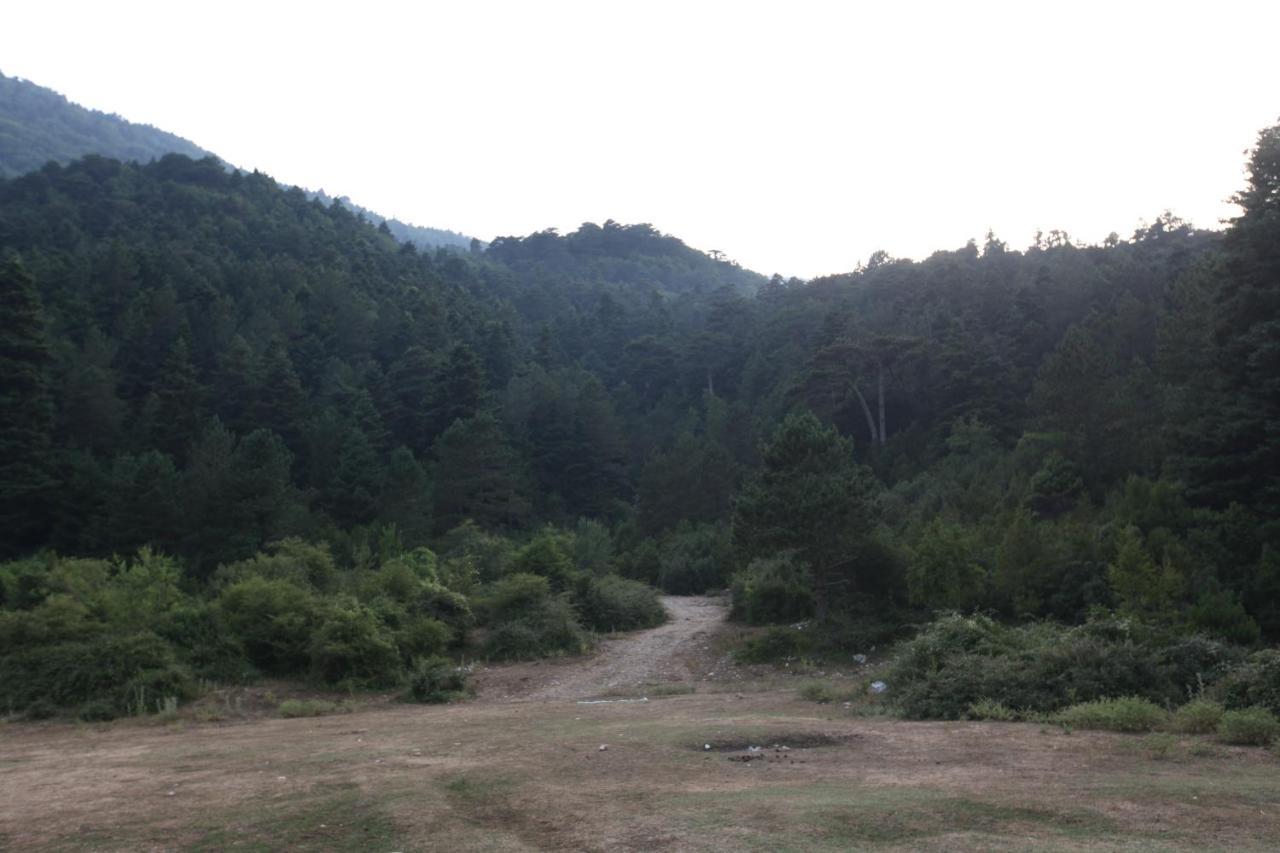 Dukat Hamiti Camping Center מראה חיצוני תמונה