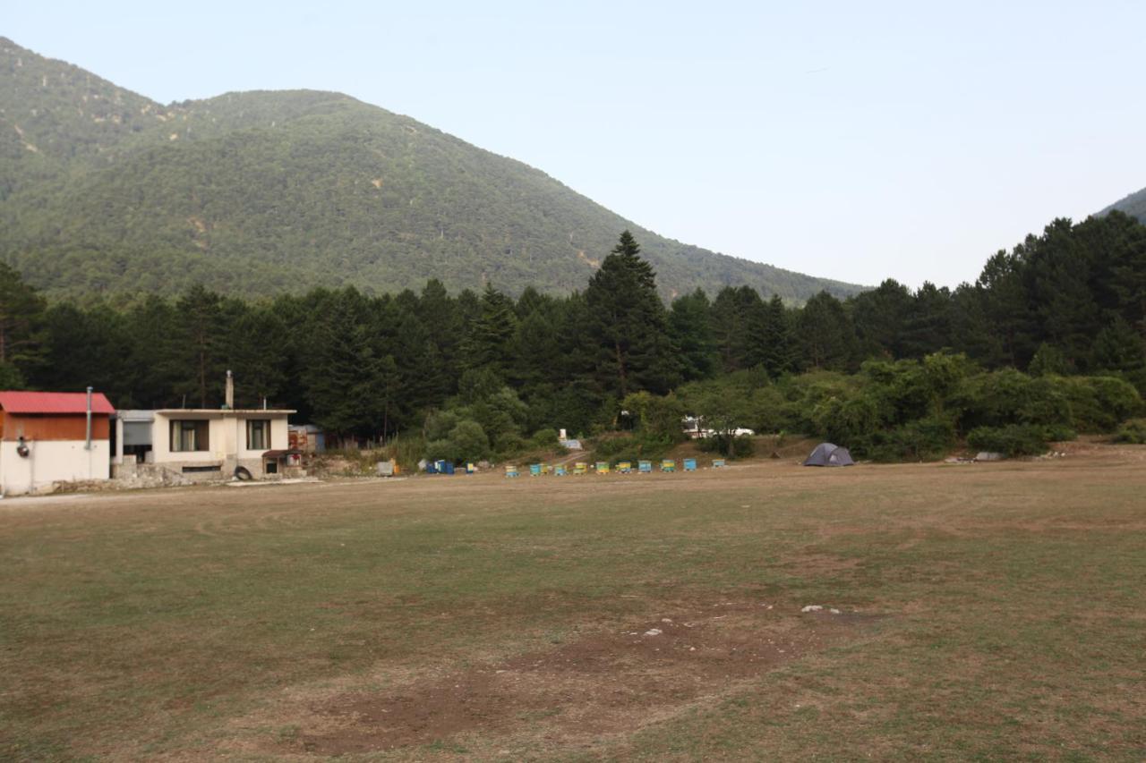 Dukat Hamiti Camping Center מראה חיצוני תמונה